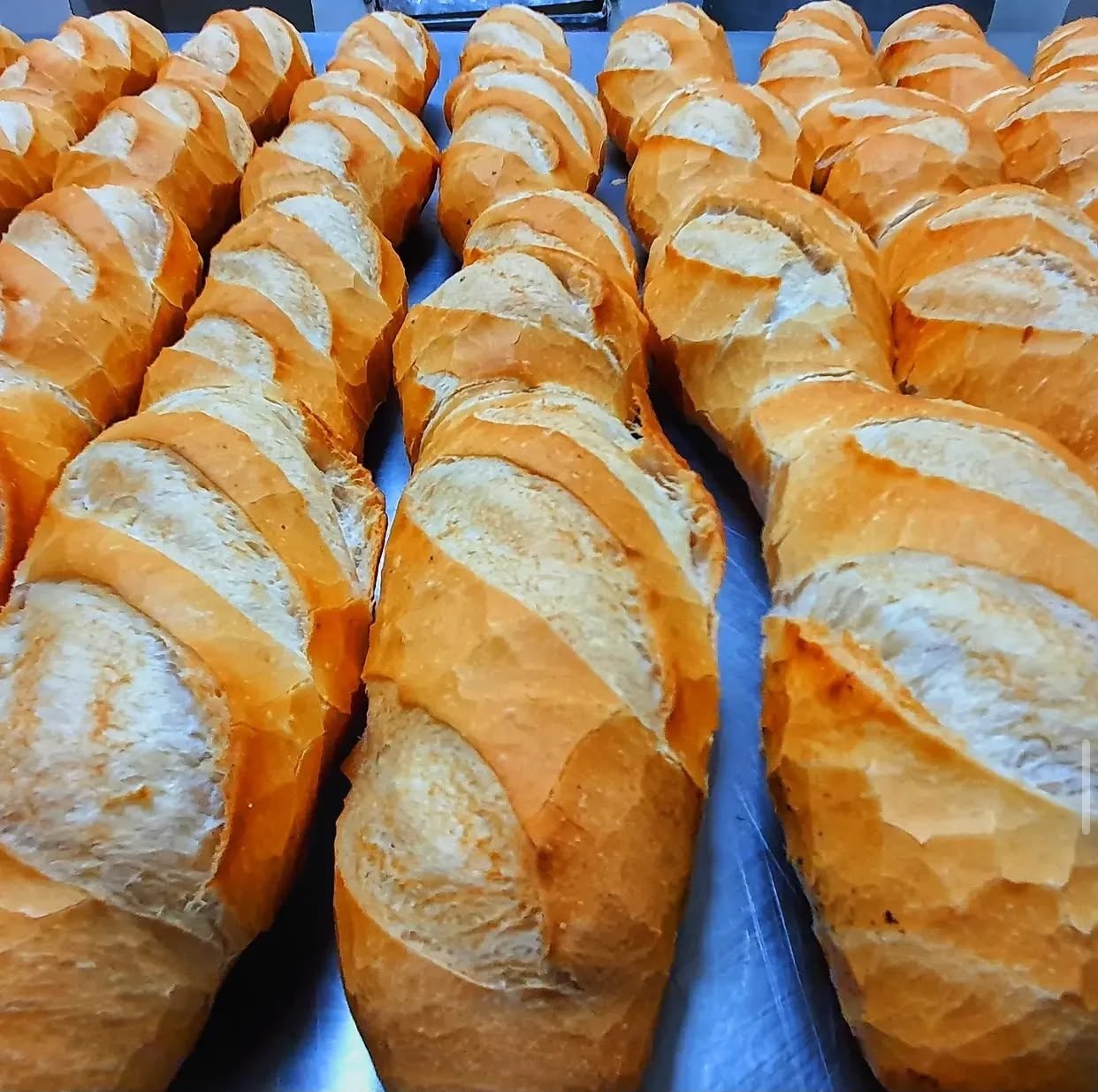 Pães franceses fresquinhos e crocantes